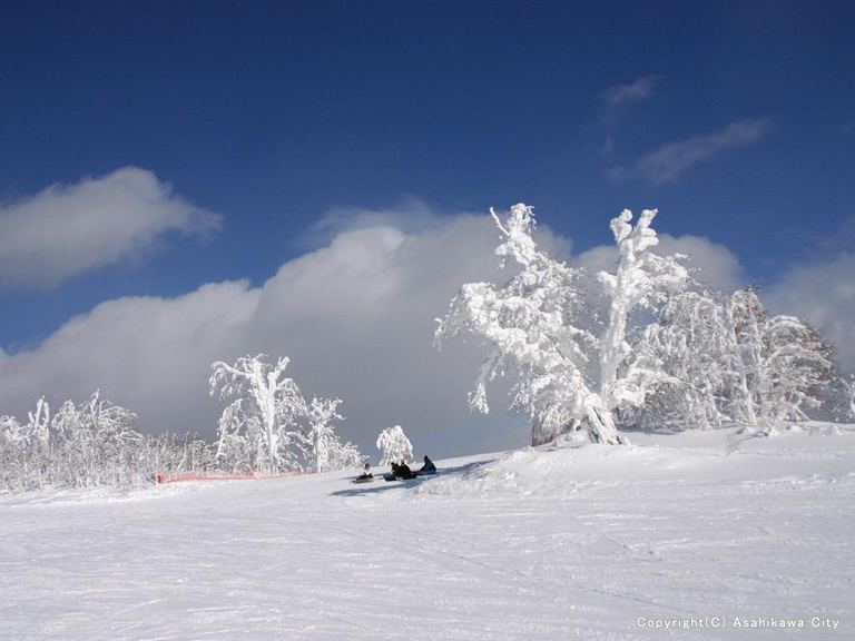 【旭川近郊・道北エリア】おすすめスキー場15選・様々な雪質とコースを満喫！｜Domingo